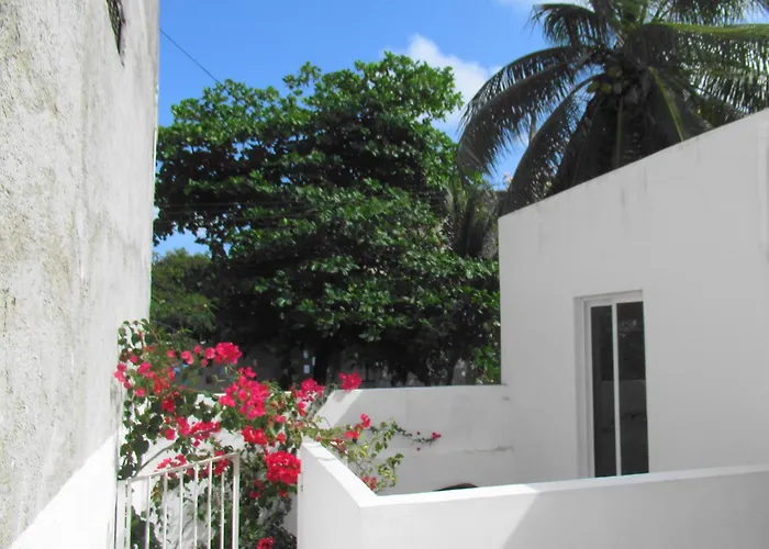 Cocos